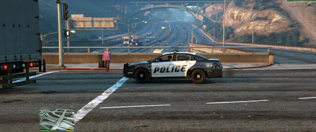 The Police